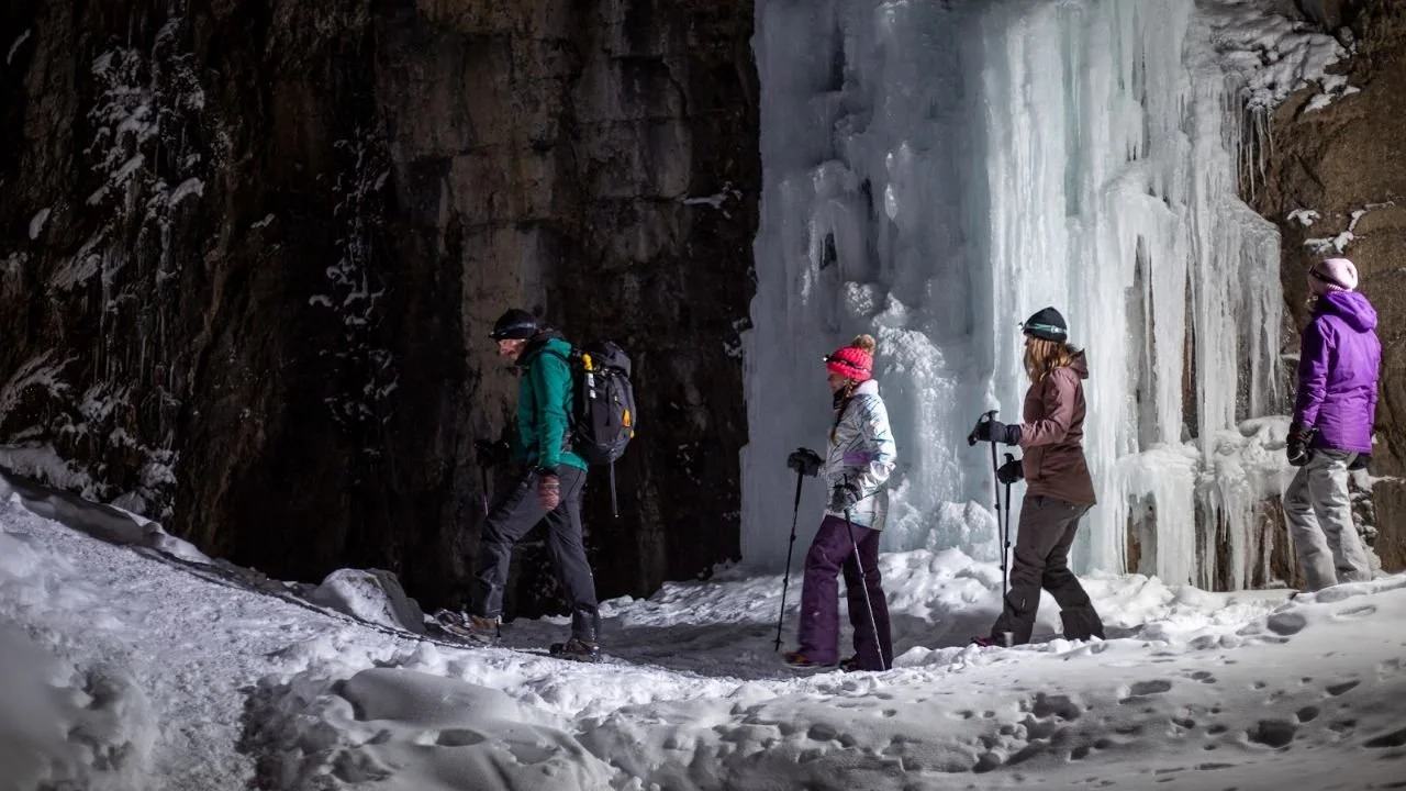 Group enjoying a guided walk through Grotto Canyon near Canmore