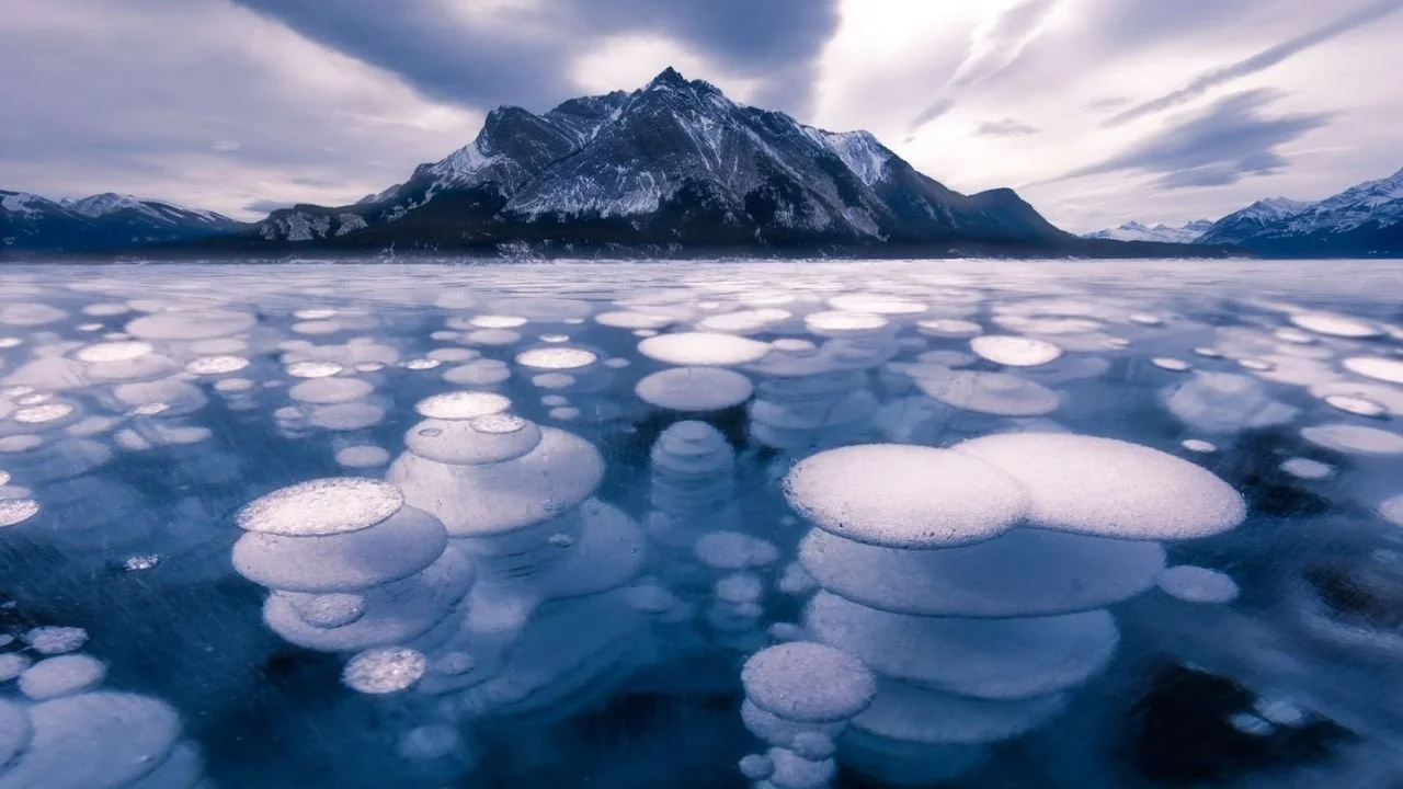 A view of Abraham Lake.