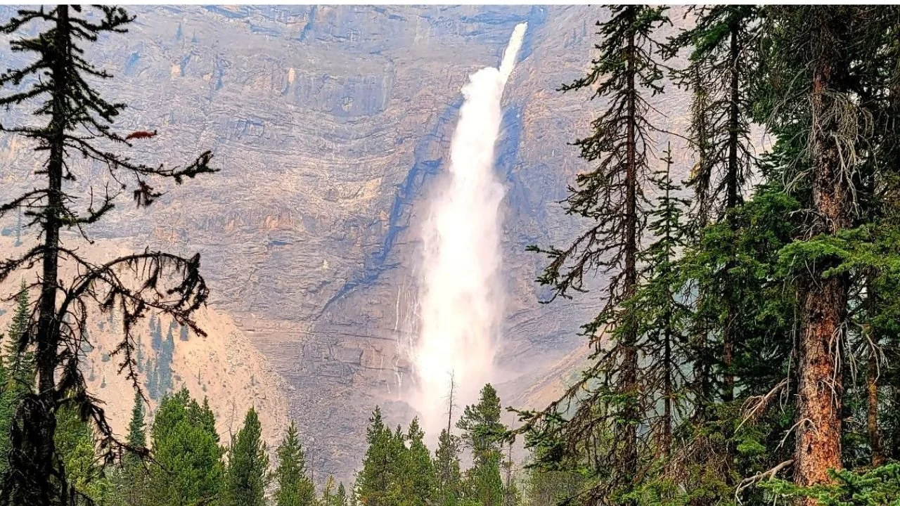 Takakkaw Falls in Yoho National Park. 