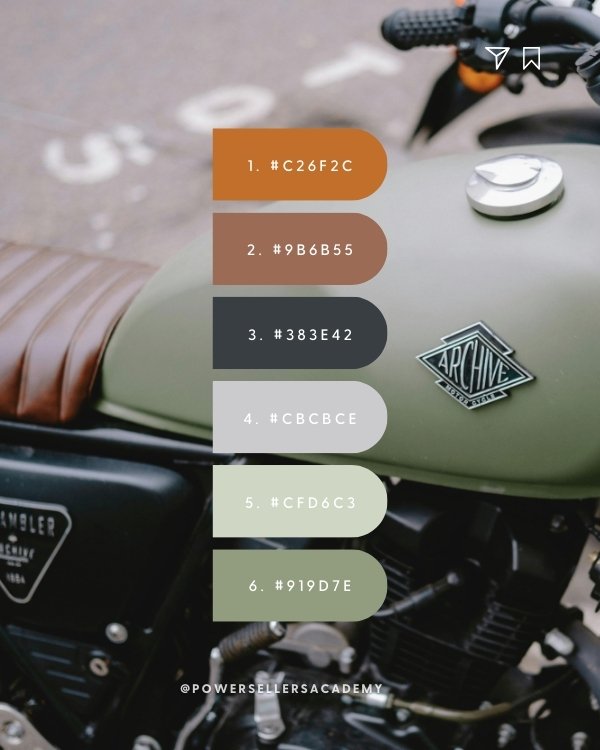 Surface Pattern Design | Color Palette 002