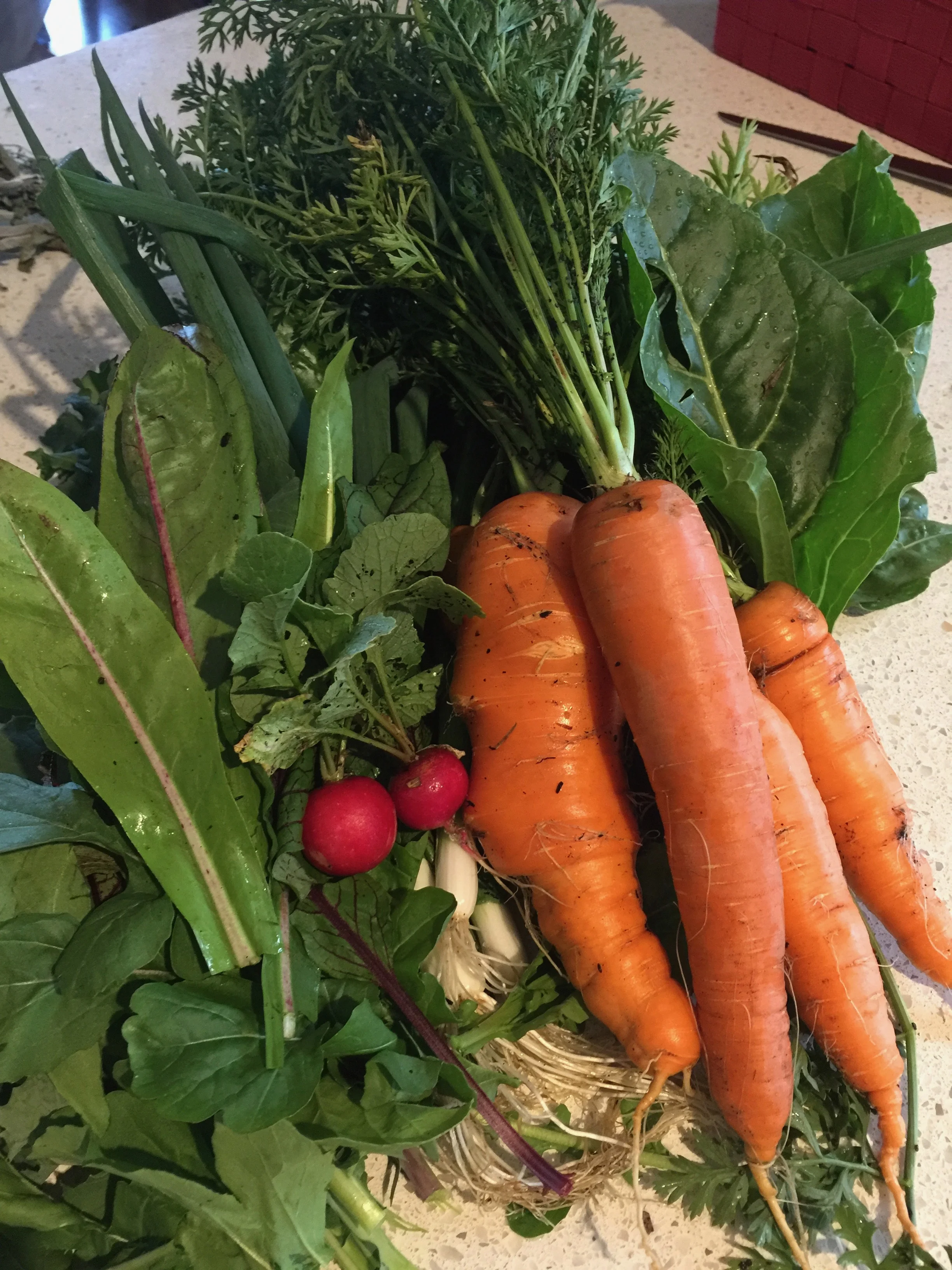 Fresh Organic Home Grown Veggies