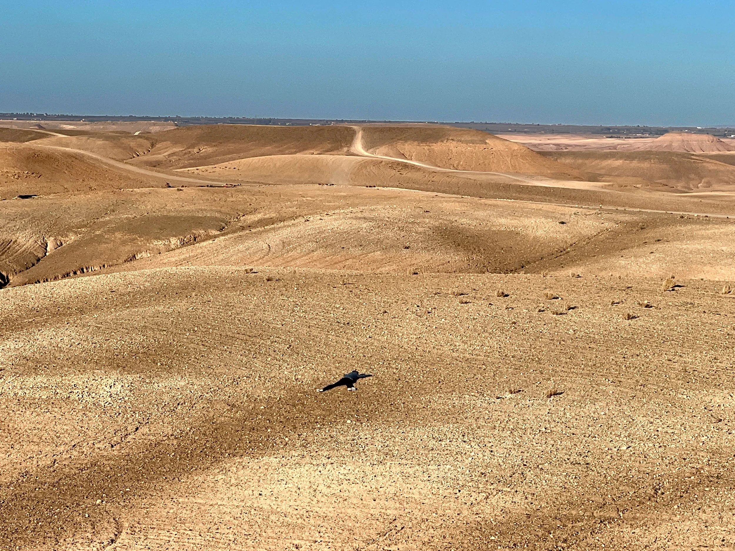 Agafy desert