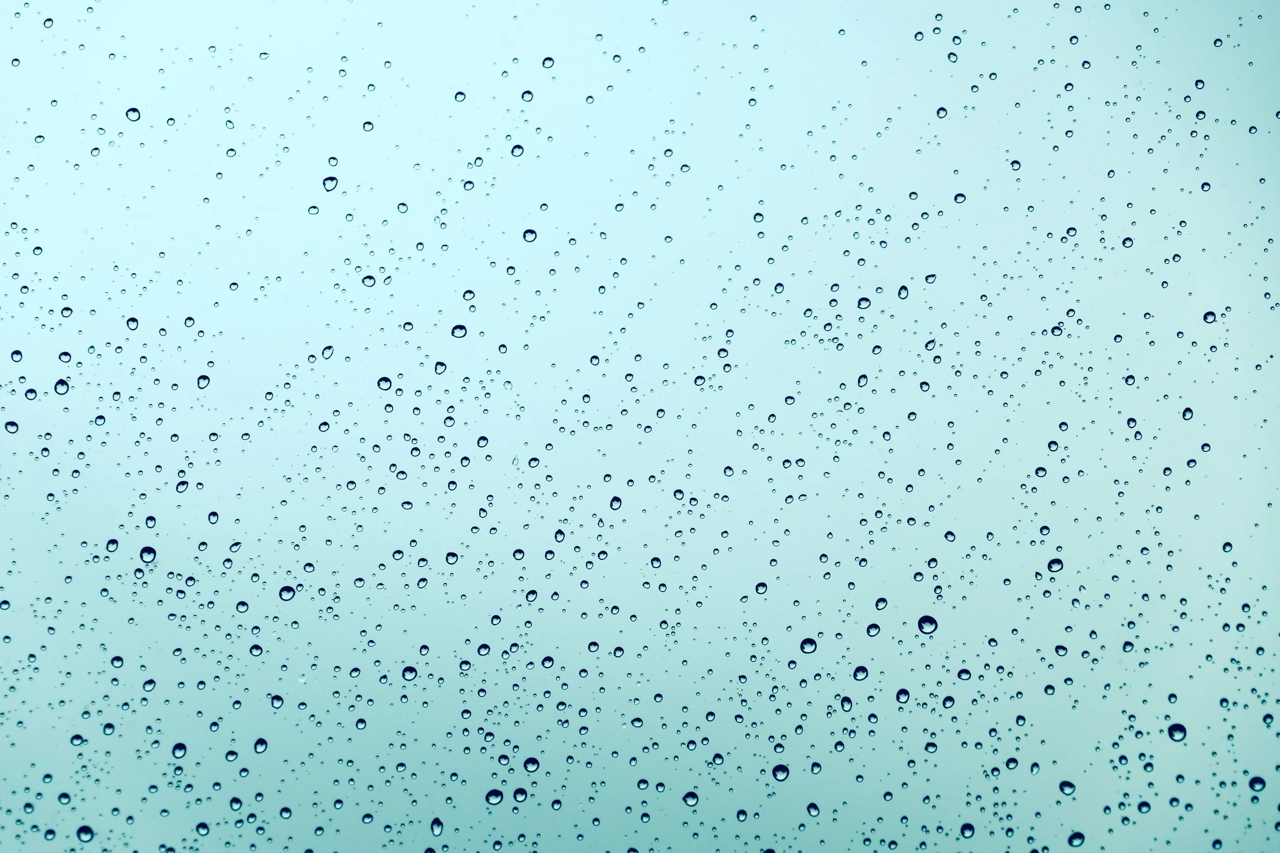 abstract-background-dew-2259232.jpg