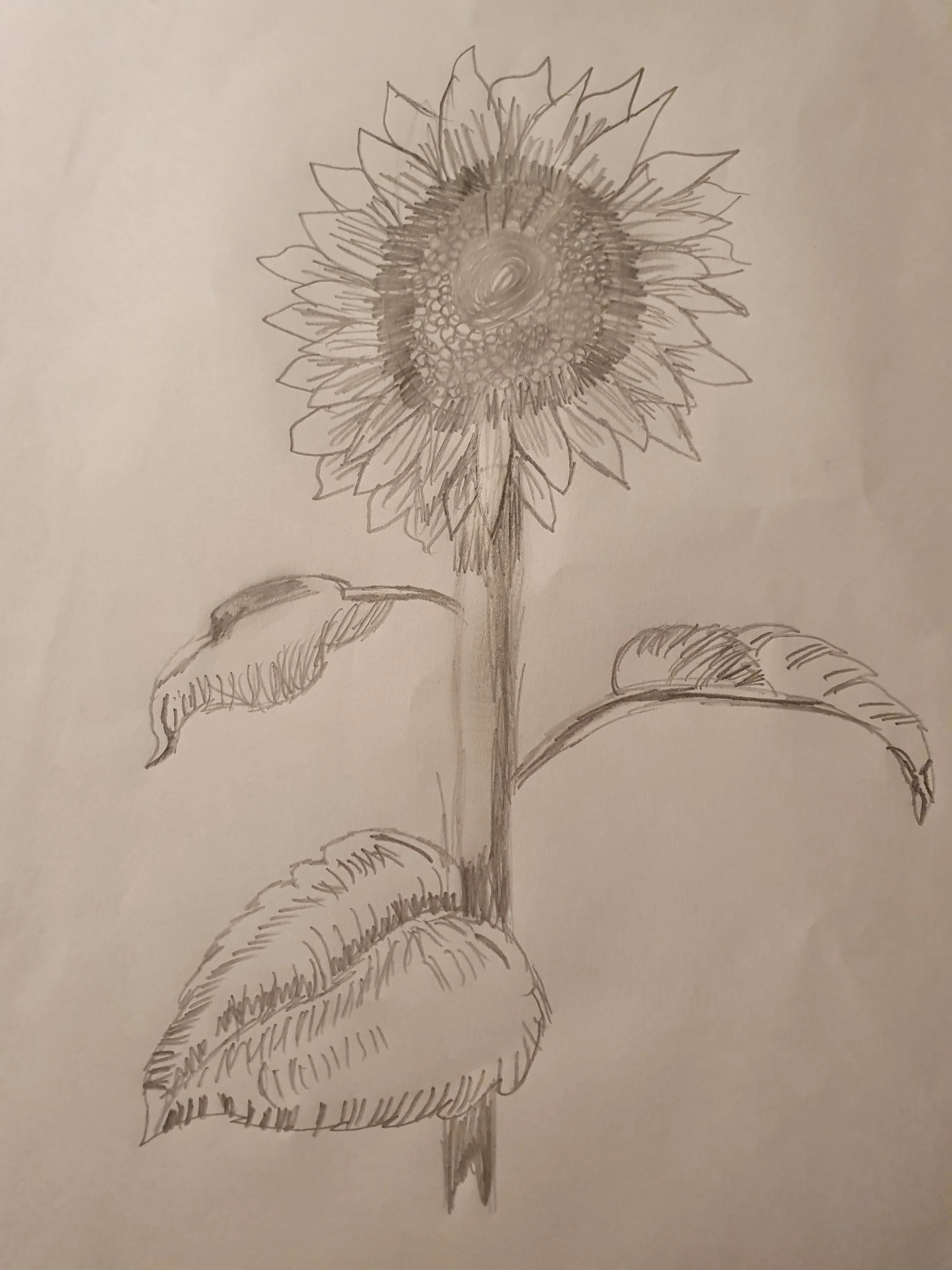 MyCWA-Art31.jpg