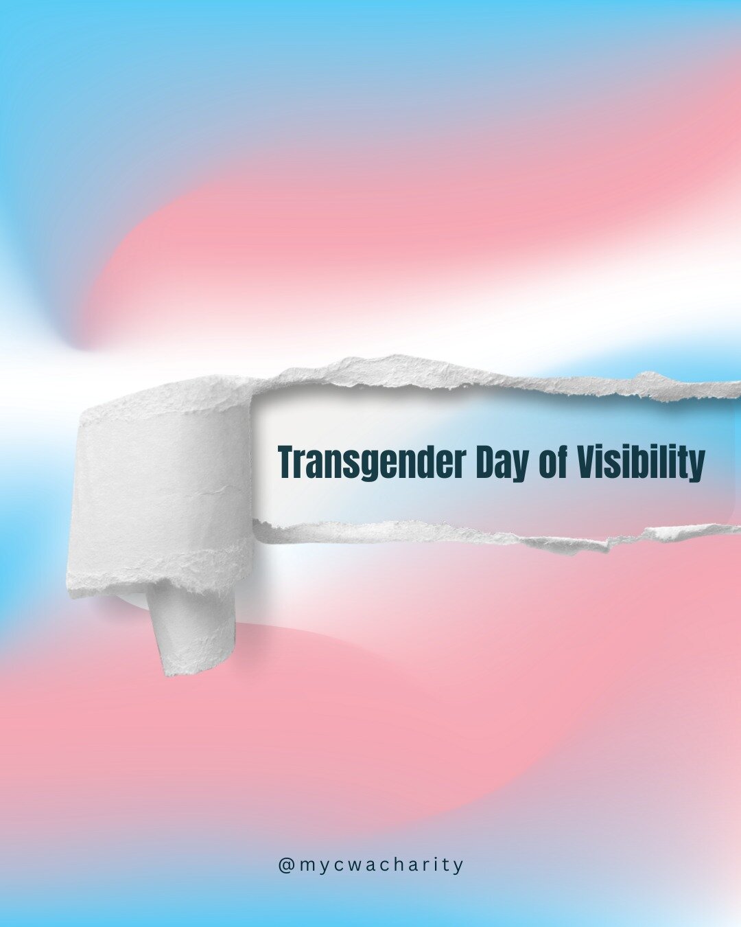 🏳️&zwj;⚧️ Today is International Transgender Day of Visibility (TDOV), created by transgender activist Rachel Crandall in 2009 as a response to the fact the only well-known transgender-centred day was the Transgender Day of Remembrance, which mourne