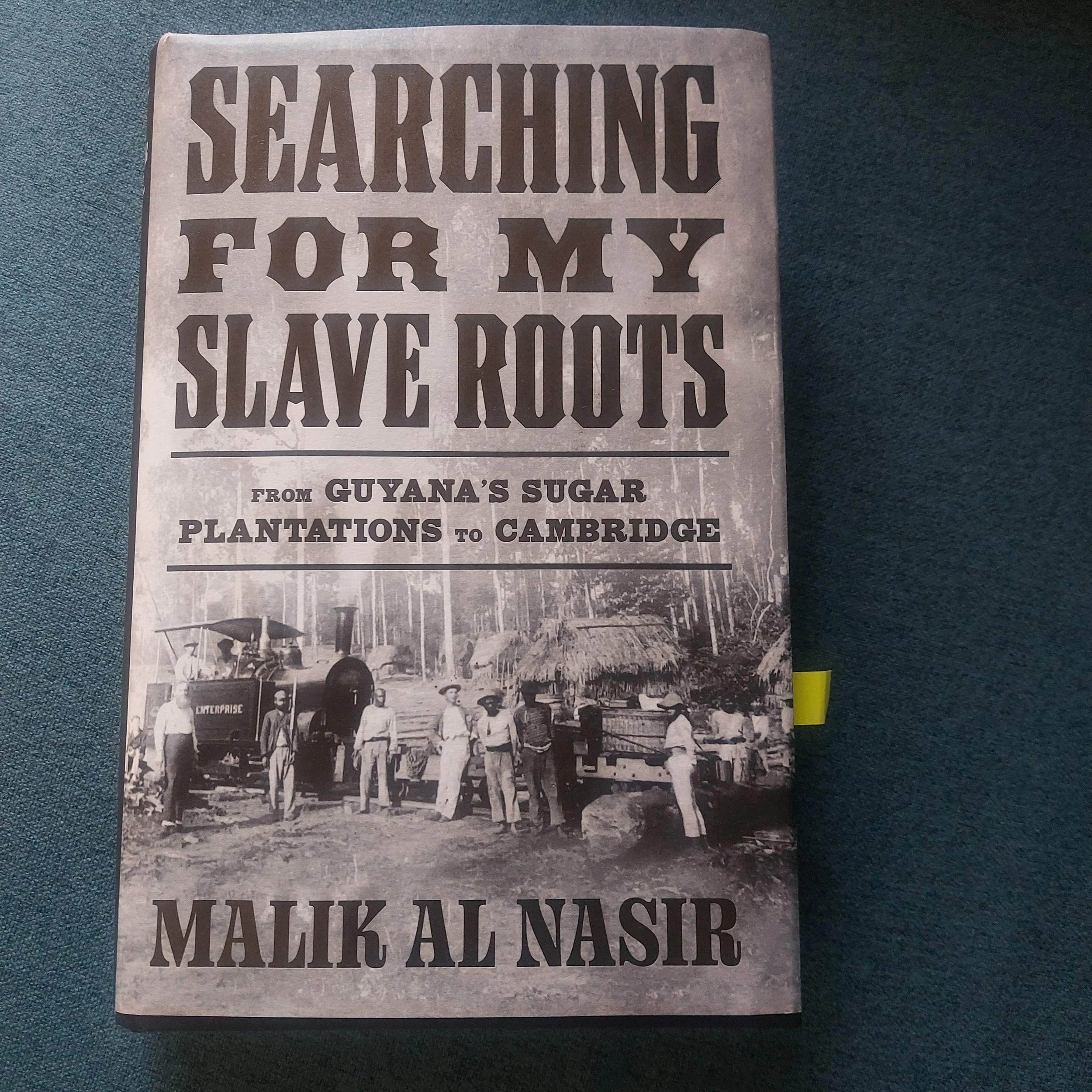Book: Searching for my Slave Roots by Malik Al Nasir