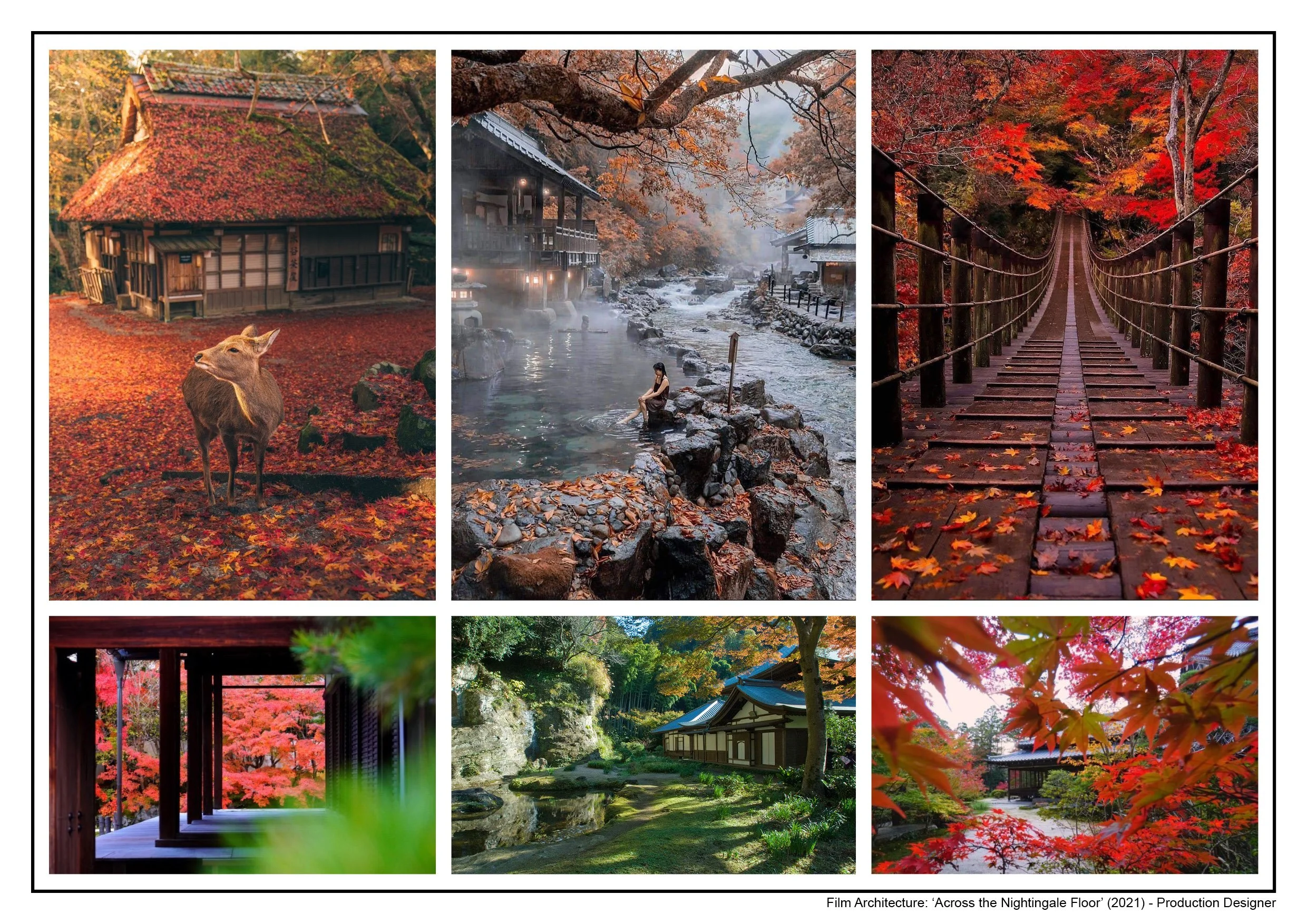 JH 2023 SPLIT IMAGE33.jpg