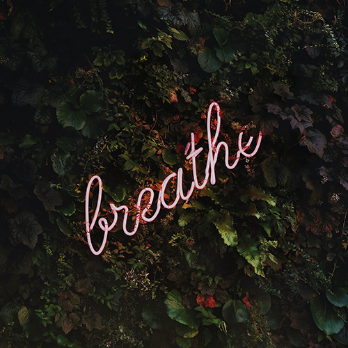 Don't Stress! 6 Tips to Manage Anxiety and Stress