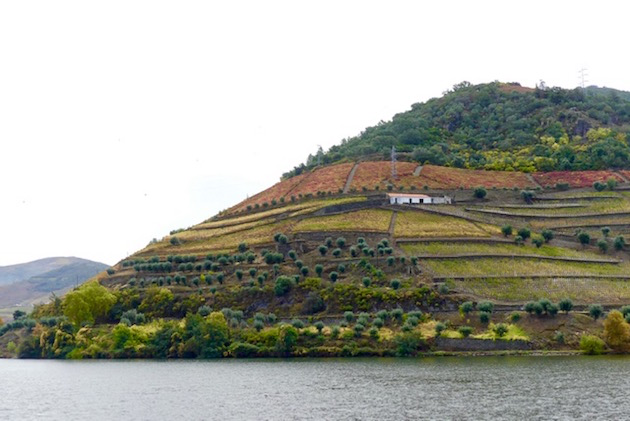 Like a painting. Scenery along the Douro.