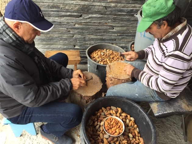 Cracking almonds the traditional way.