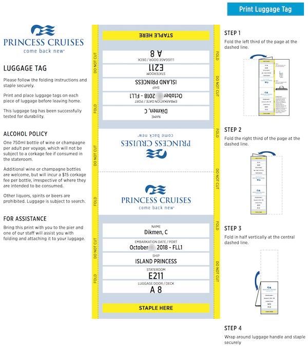 princess cruises cruise personalizer travel summary