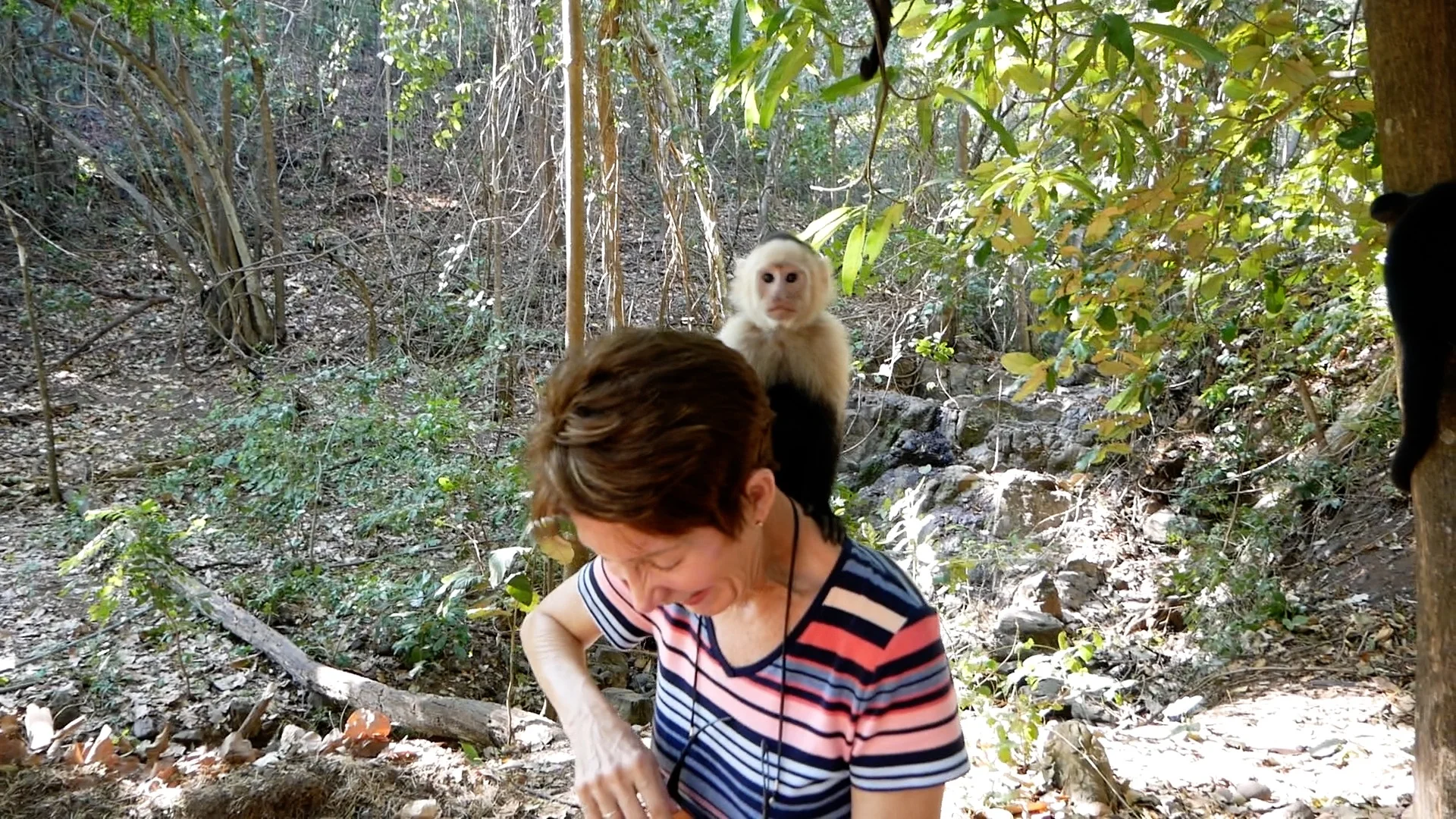 Mr. Monkey tries to steal Rickee's sunglasses