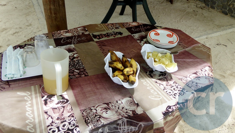Local bananas, grapefruit and pineapple juice.