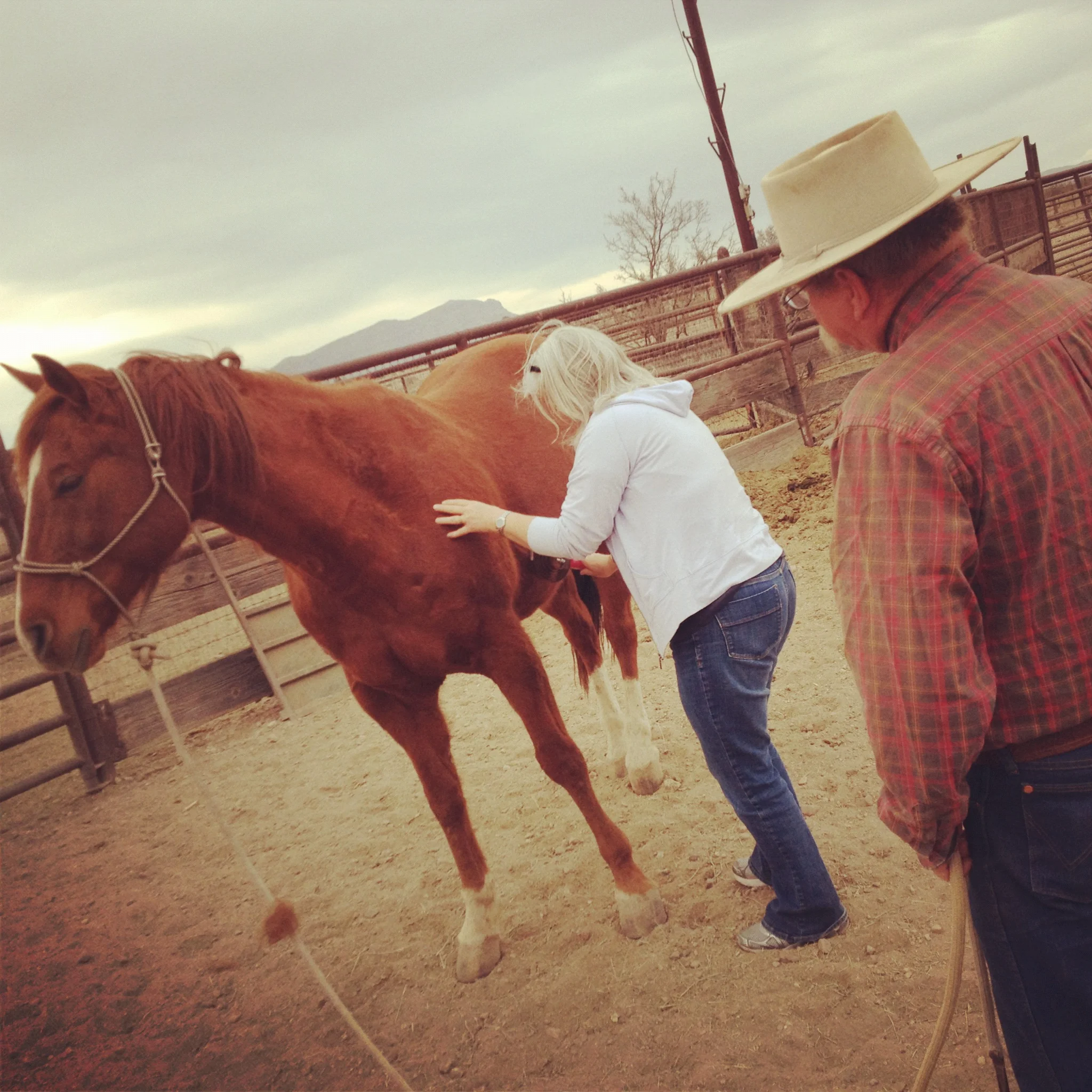 my momma the cowgirl