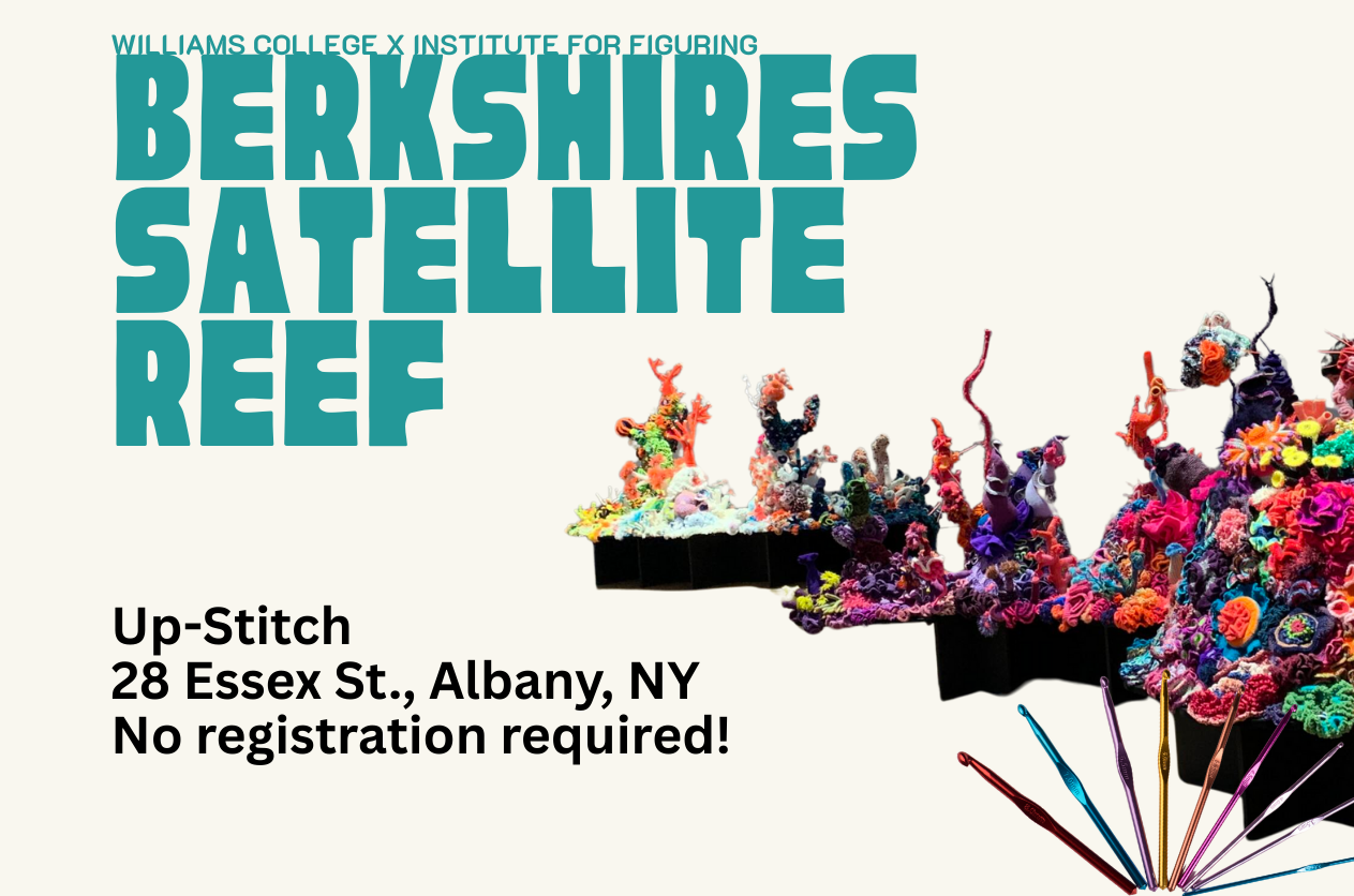 Crochet Coral Reef Meet-up 