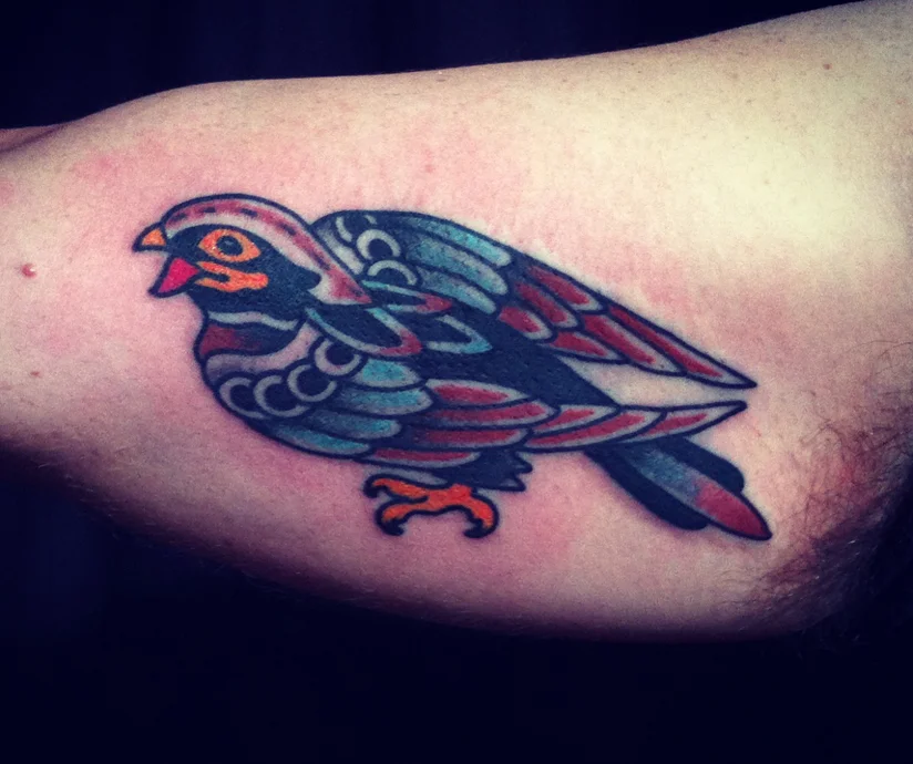 bird cph.jpg