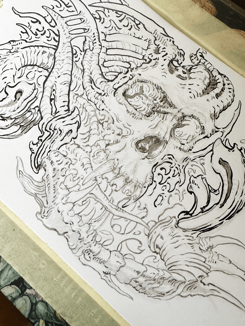 Skull-Midpoint-Drawing.png