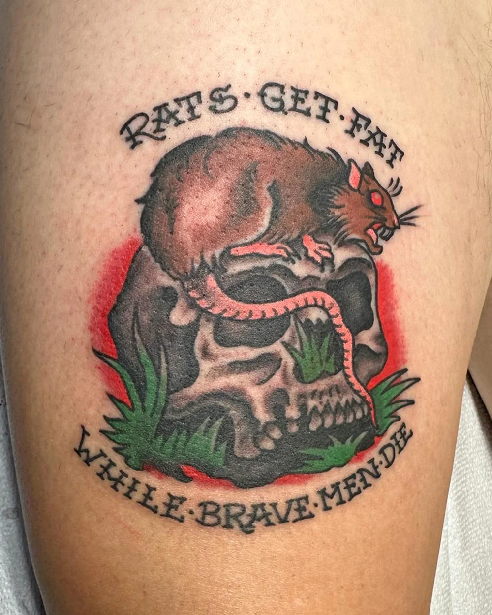 Traditional tattoo in color of a rat on a skull sitting on grass with lettering.