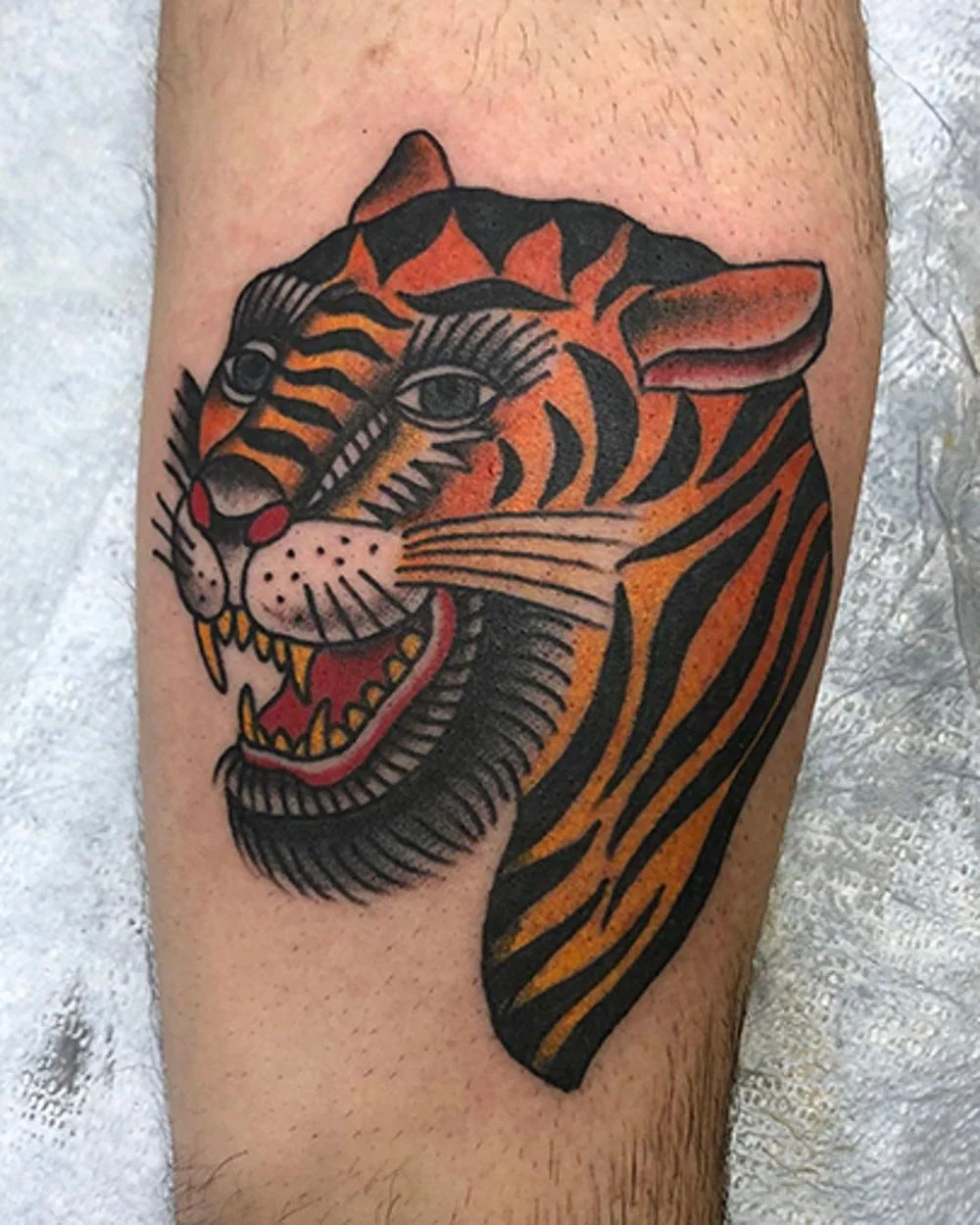 Traditional color tattoo of a tiger on an arm done in NYC.