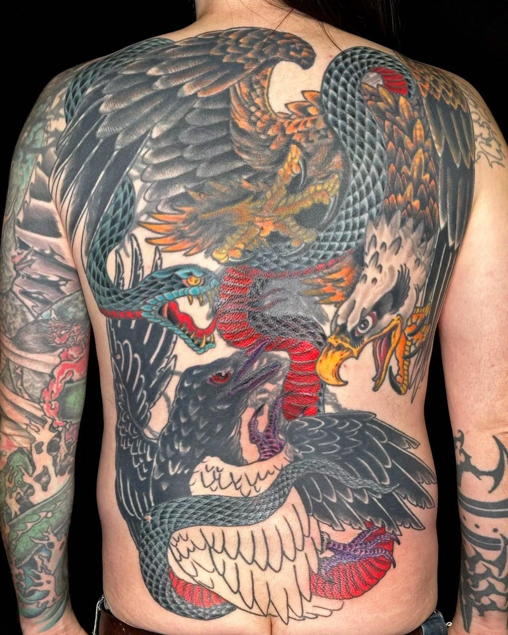 Work-in-progress full color backpiece by tattooer John Reardon of an eagle fighting a snake.