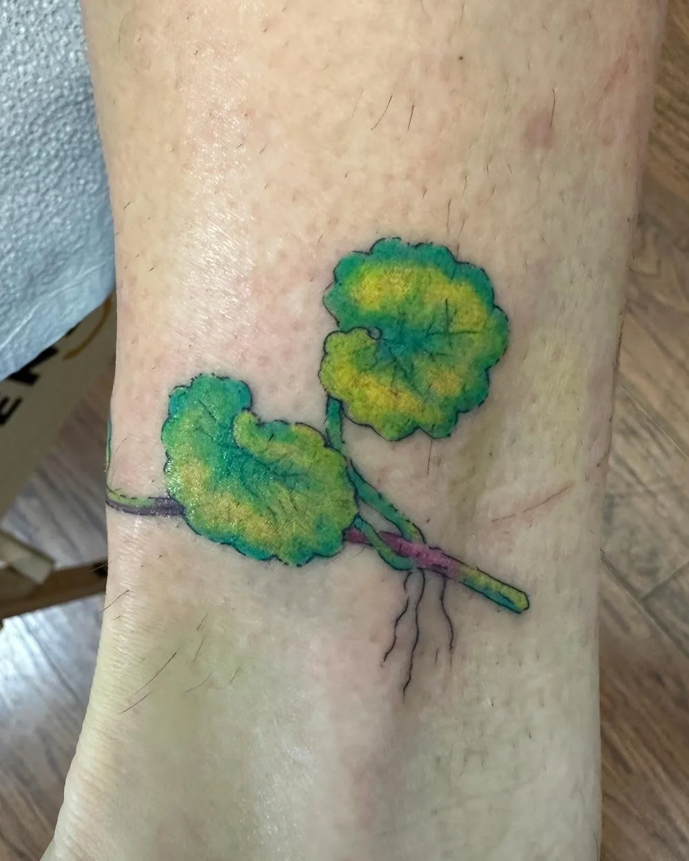Fine-line-herb-color-tattoo-on-an-arm-done-Upstate-NY.jpg