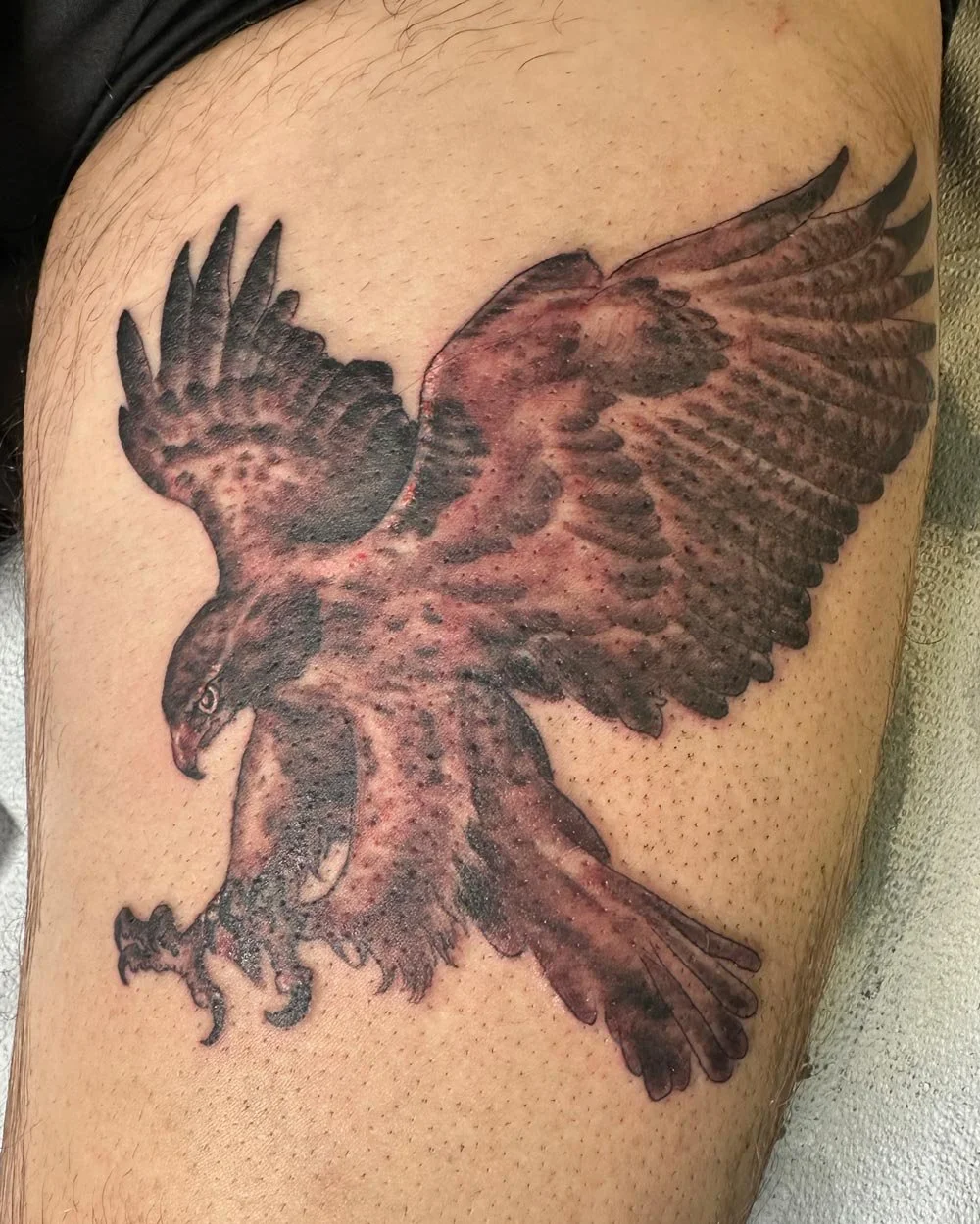 Black and grey realistic eagle tattoo on a shoulder by John Reardon.