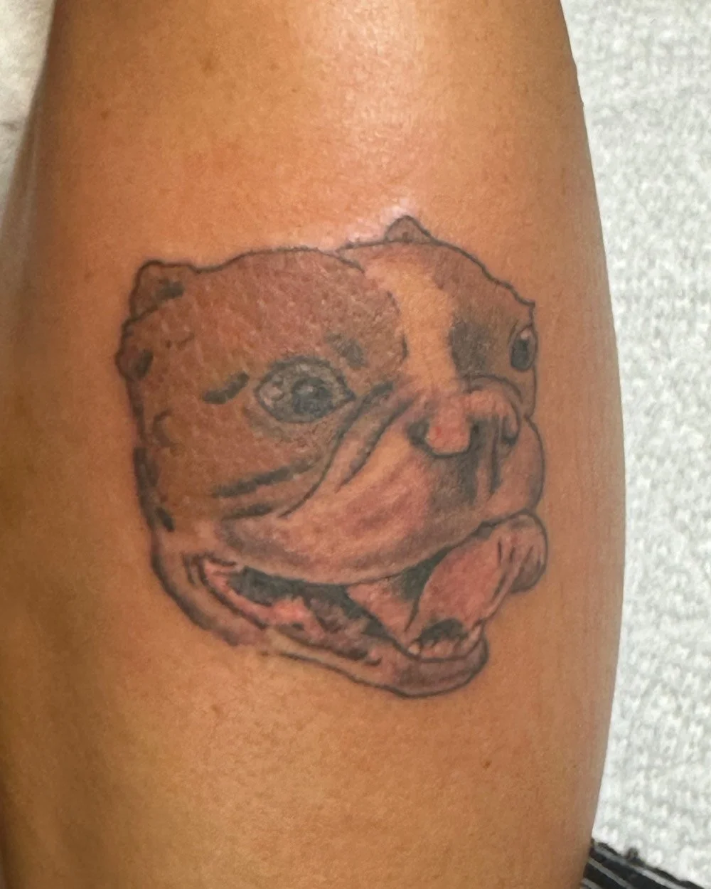 Brown-frenchie-dog-portrait-tattoo-by-John-Reardon-Upstate-NY.jpg
