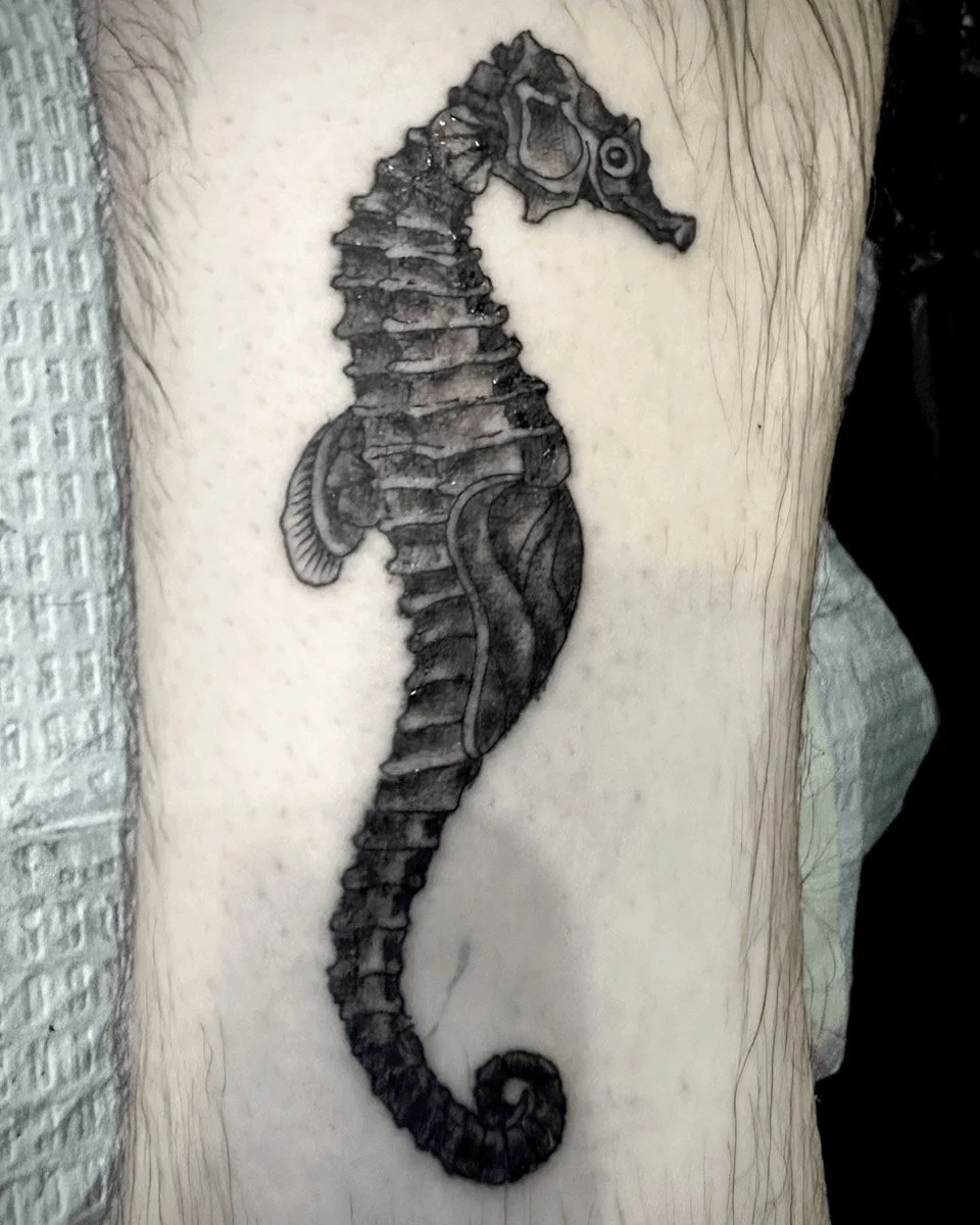 Seahorse tattoo in black and grey by nyc artist John Reardon.
