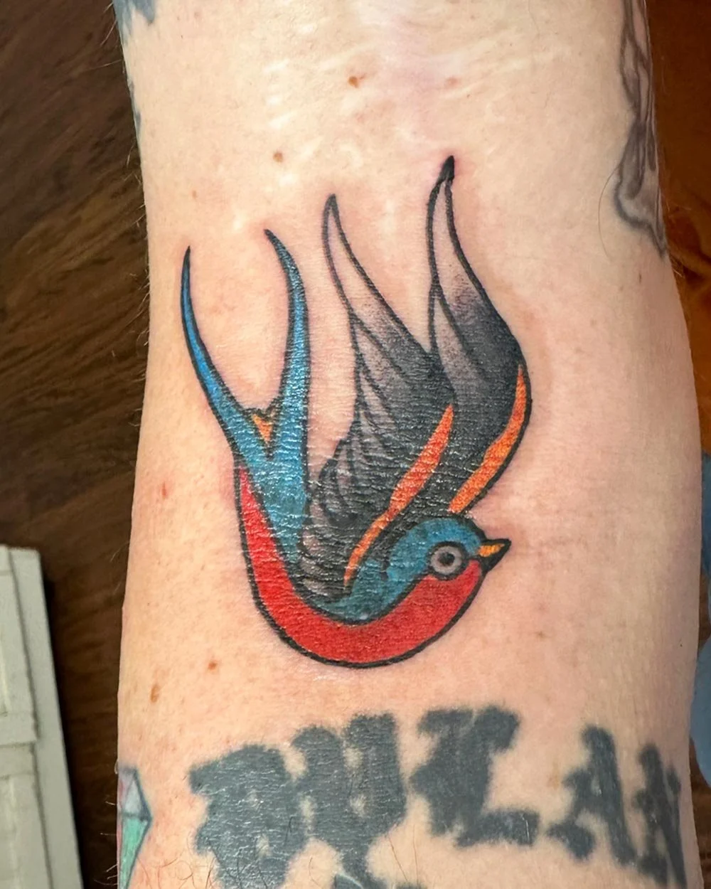 Red blue and yellow sparrow tattoo on the inner arm.