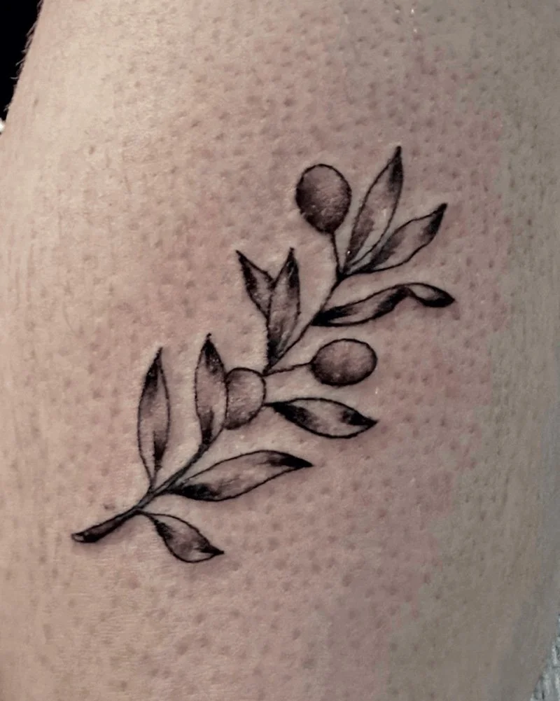 Black and grey tattoo of a small fineline olive branch on the back of an upper-arm.