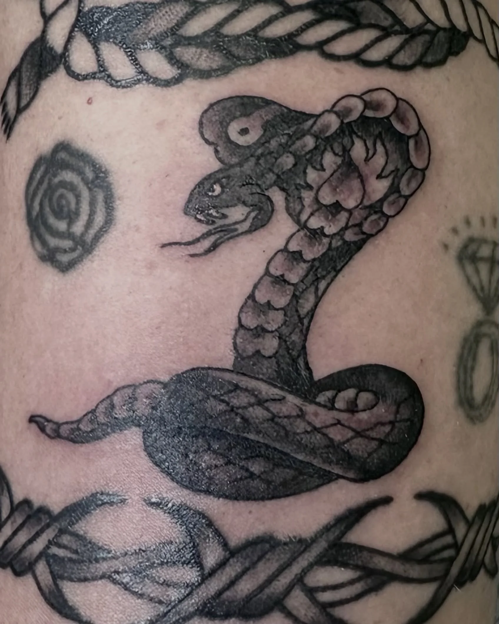 Cobra filler tattoo. 
Currently taking appointments for Upstate NY and Greenpoint.

To book, email me or call @hudson_river_tattoo for Upstate and @greenpointtattooco for Brooklyn. 

#tattoos #tattooartist #nytattoo #brooklyntattoo #greenpoint