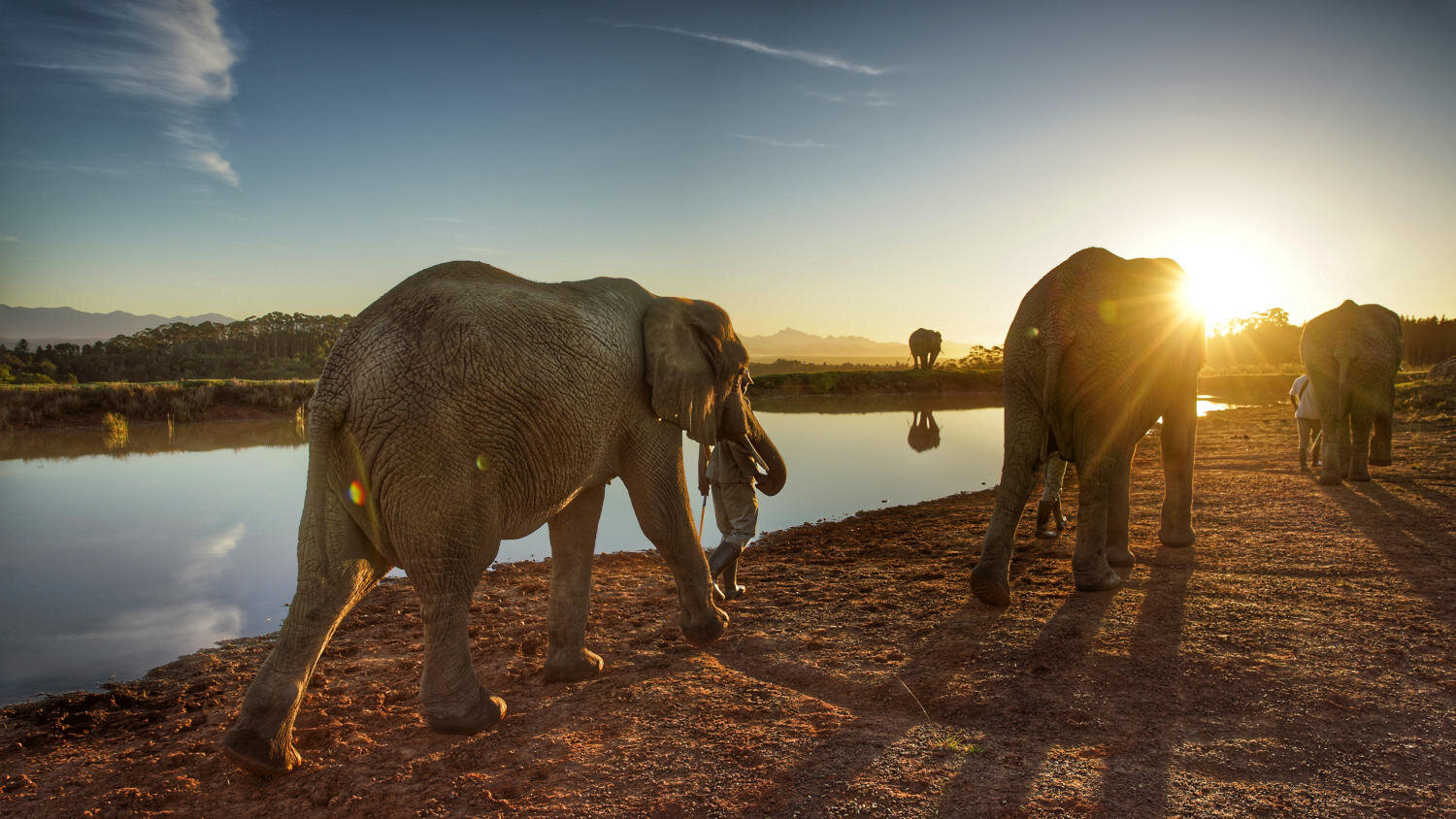  Elephant Park, Knysna                                