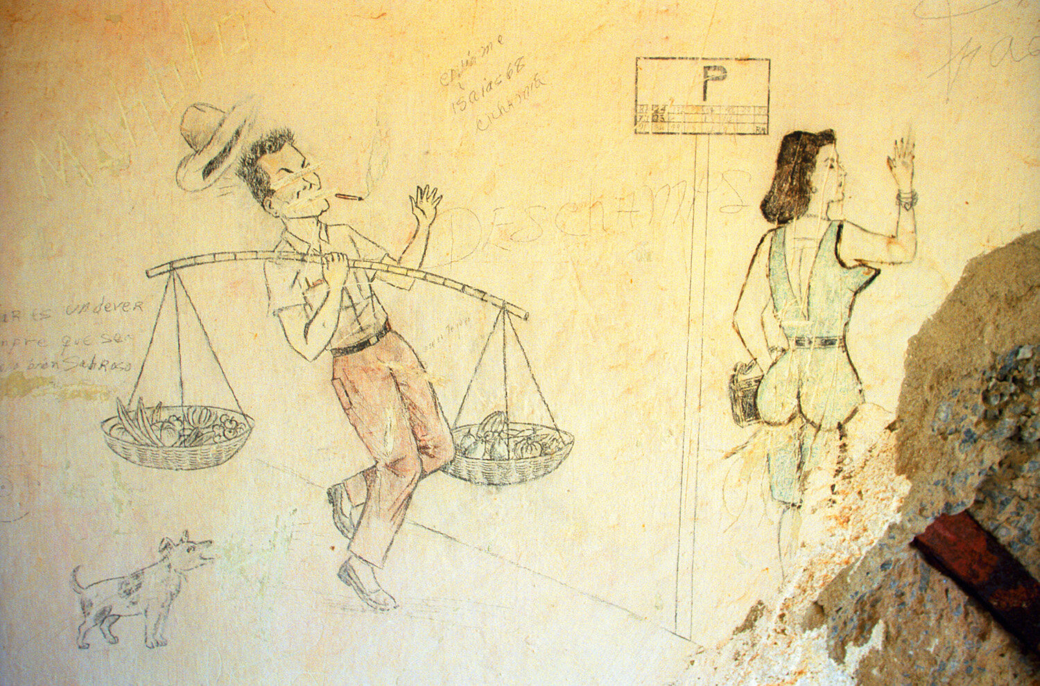  Wall paintings inside prison cells of the Presidio Modelo, a prison at the Isle of Youth, where Fidel Castro was imprisoned after his 1953 attack on the Monacada barracks.                   