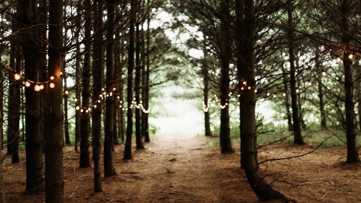 17-pine-forest-wedding-ceremony.jpg