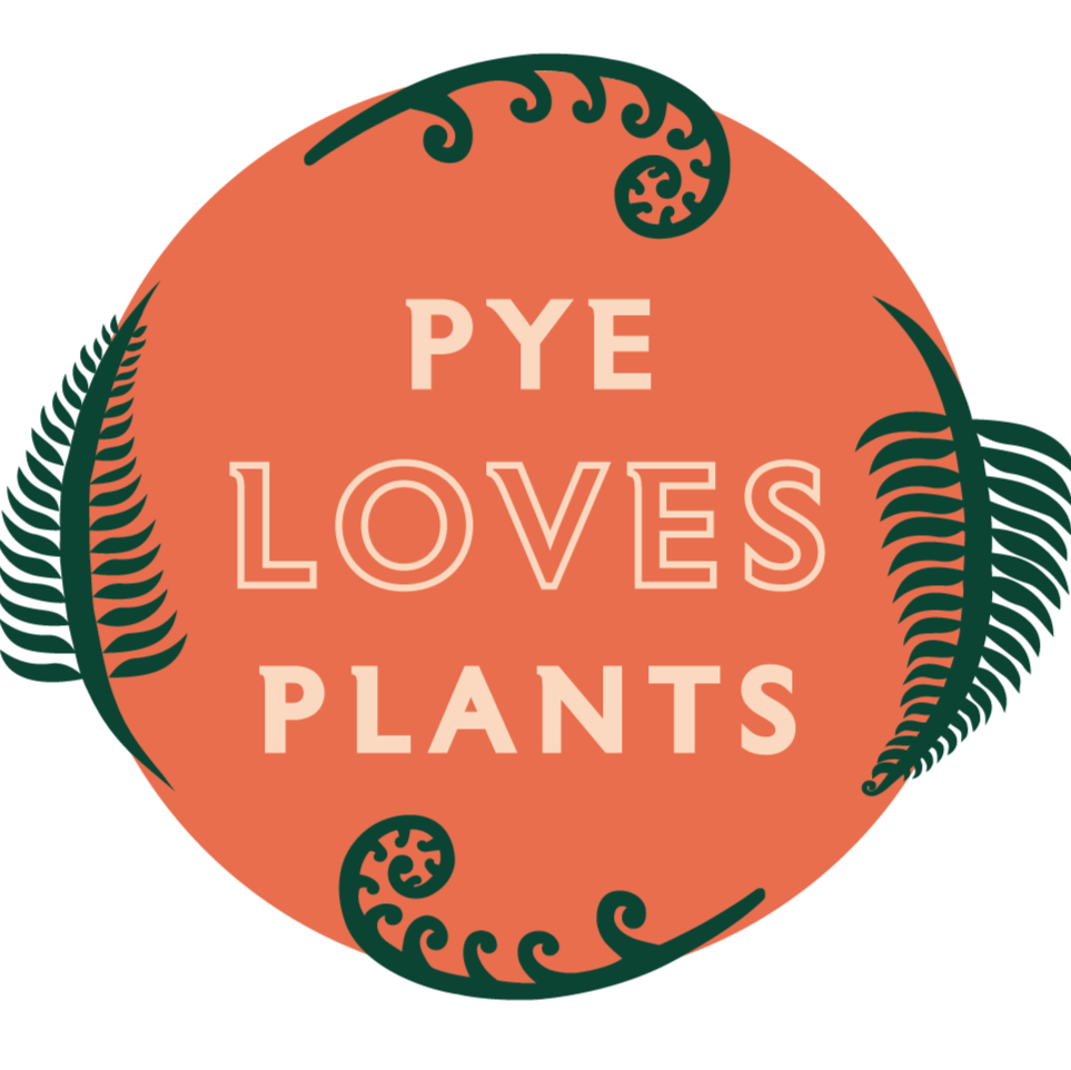 Pye Loves Plants
