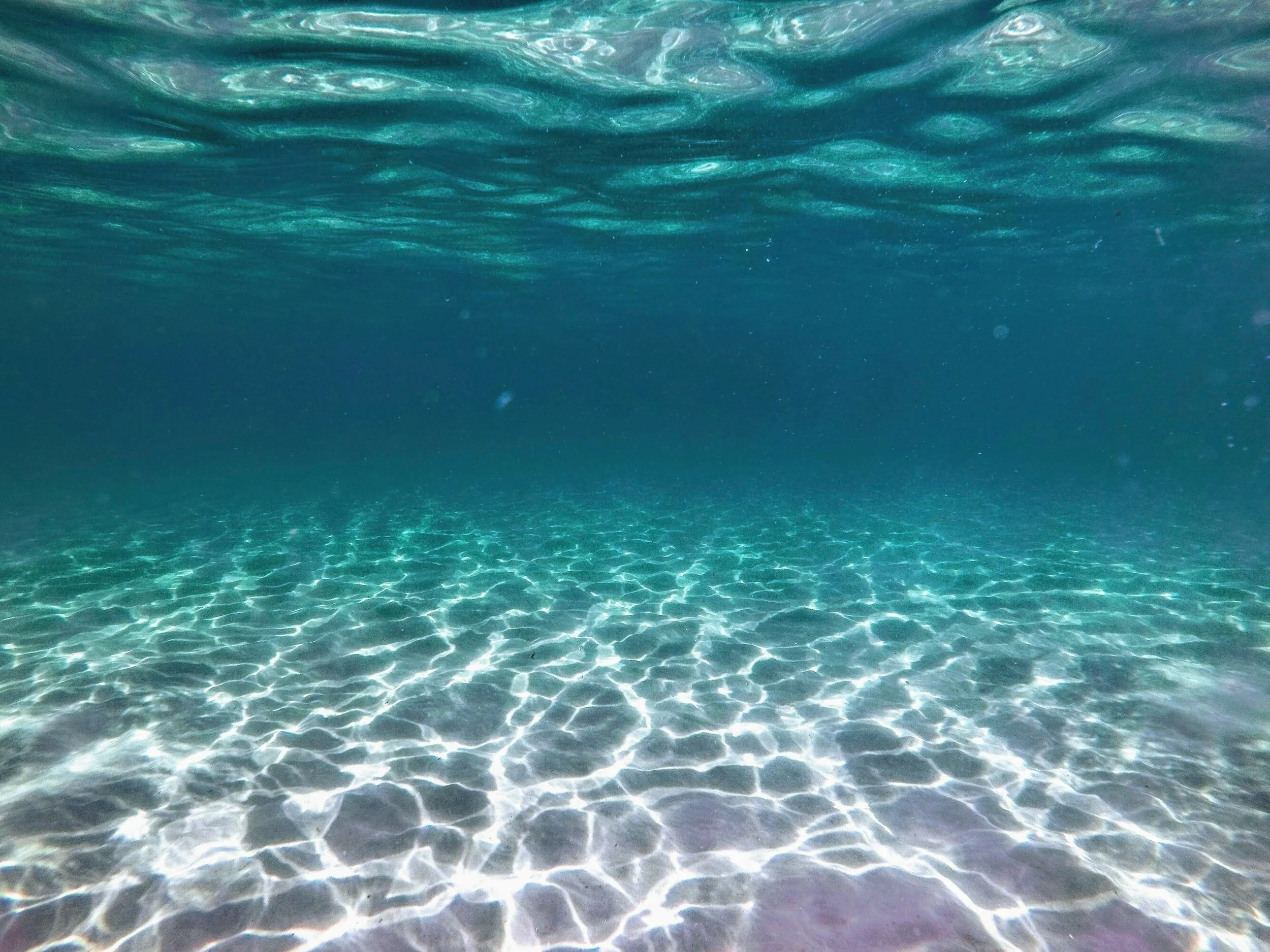 unsplash-image--4SnP61VGbU.jpg