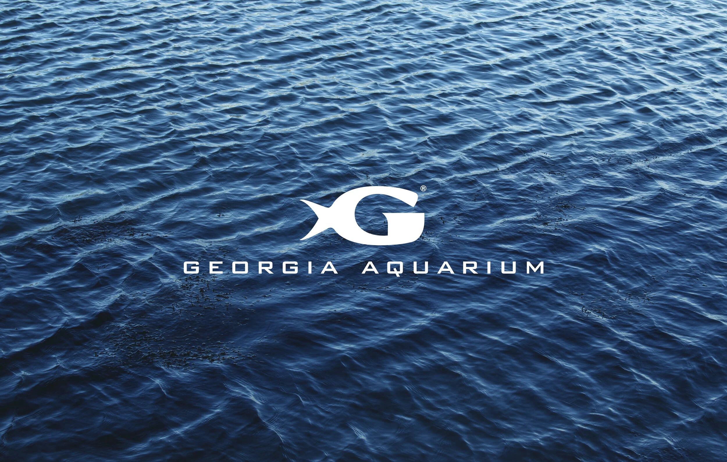 GAAQUA_cover2.jpg