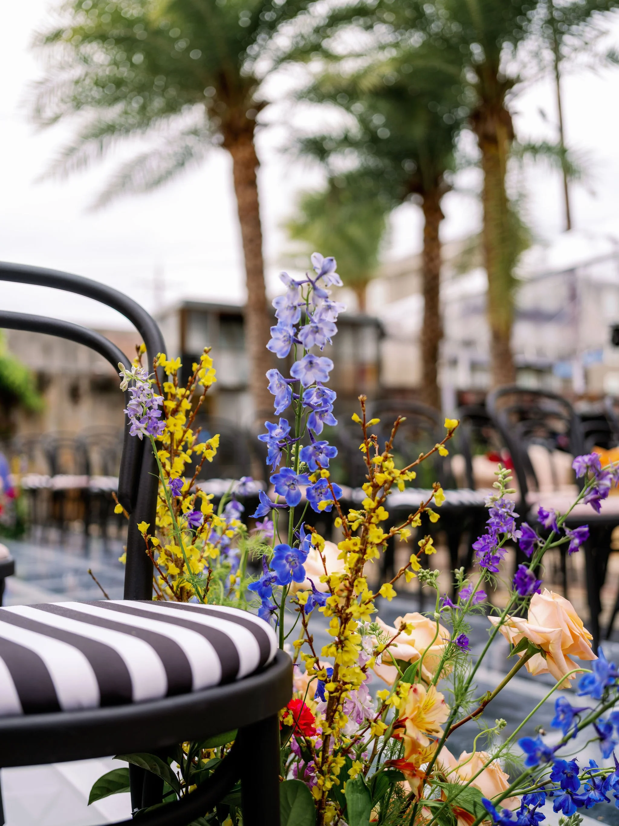 Colorful flowers, including purple, yellow, and peach, blooming in a garden with trees and chairs in the background.
