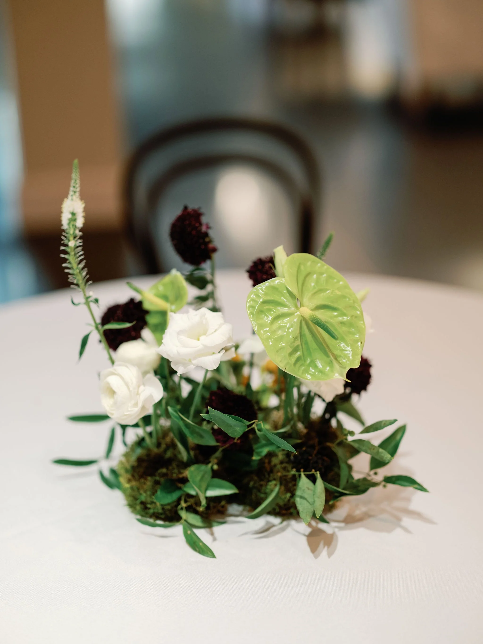 A small flower arrangement with white flowers, dark purple flowers, and green foliage, placed on a white surface.