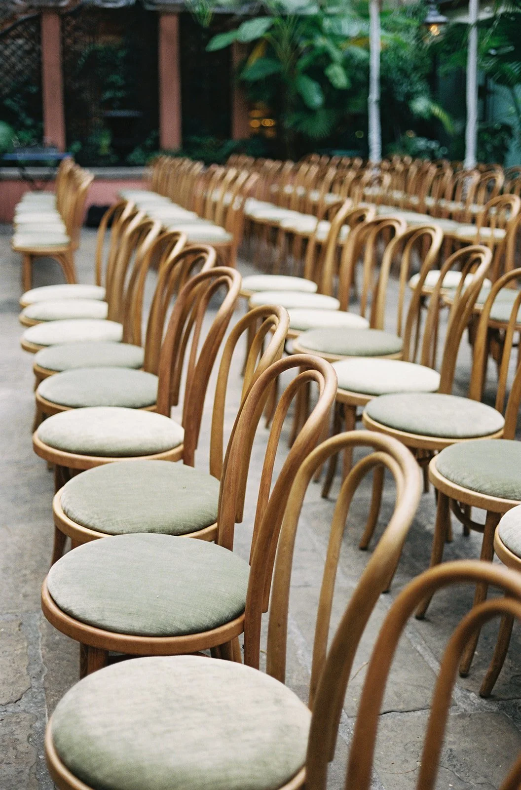 Multiple rows of wooden chairs with green cushions arranged outdoors, surrounded by green foliage.
