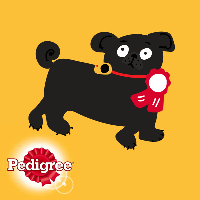 Pedigree-animated-button-website.gif