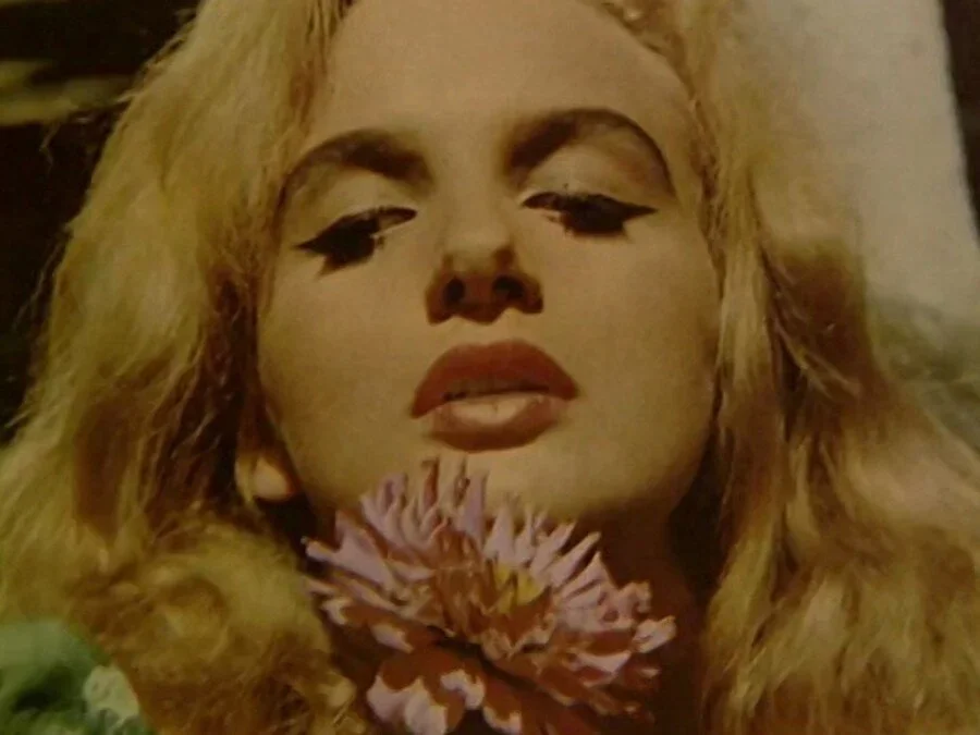 Didn't Do It For Love // Female Misbehavior: The Films of Monika Treut