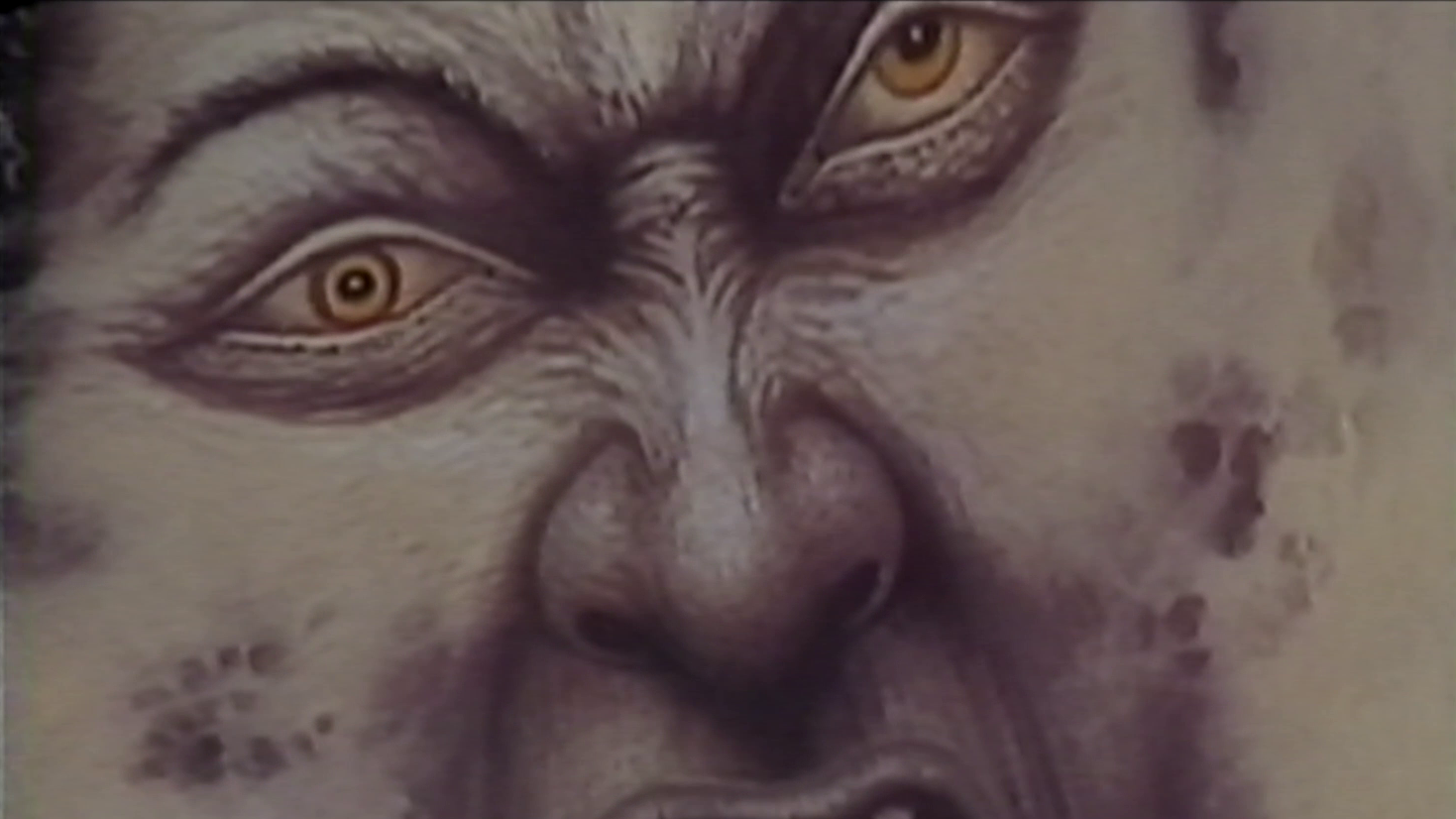 vlcsnap-2025-11-26-13h08m07s367.png