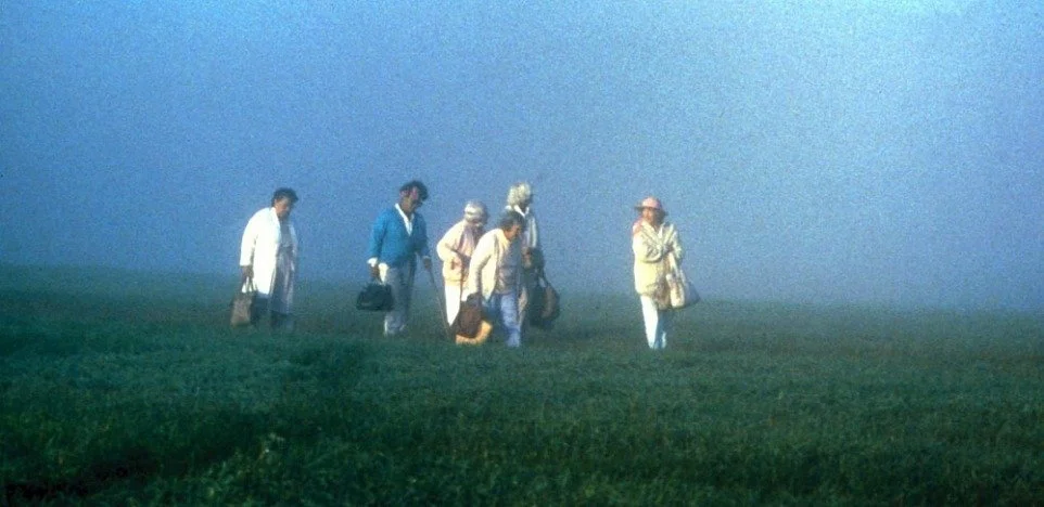 Strangers in Good Company // The Time Image