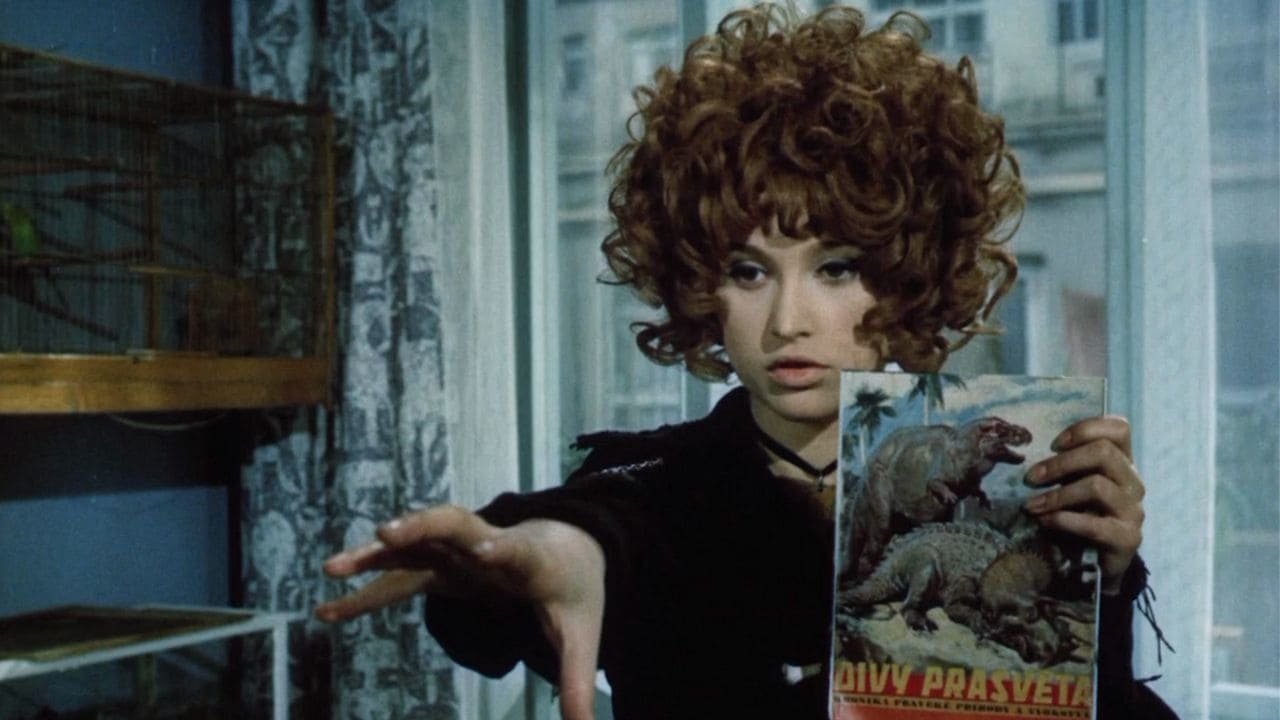 The Girl on the Broomstick 03.jpg
