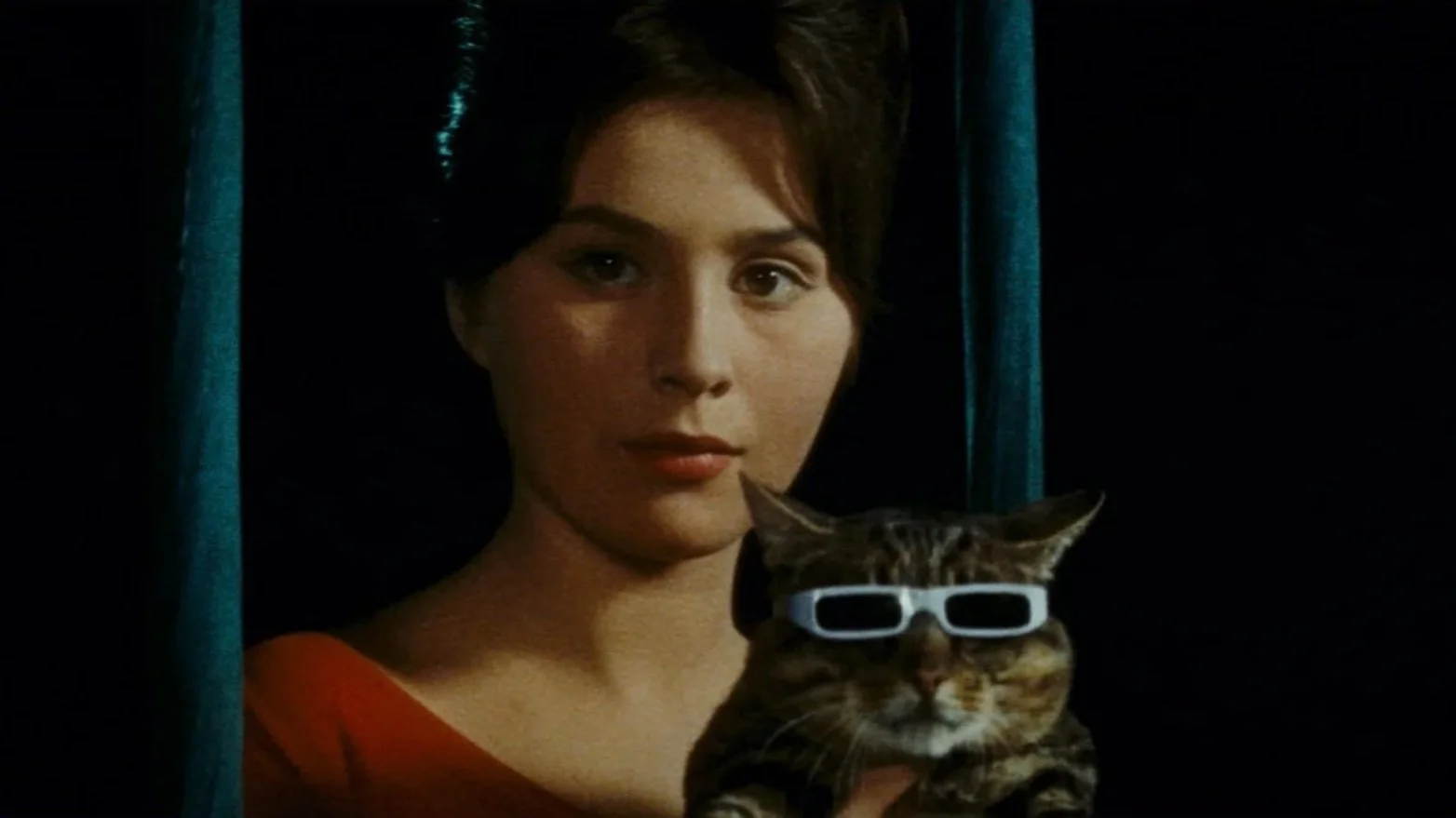 The Cassandra Cat // Eastern Bloc Party vol IV