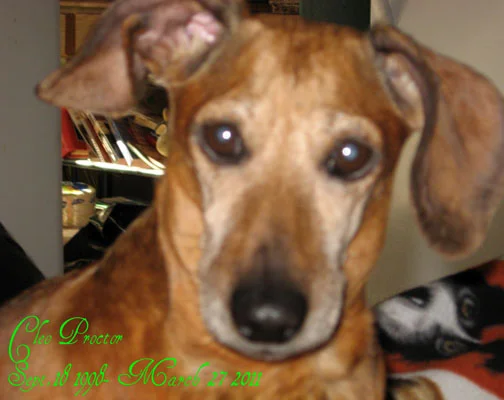 CLEO CHARLES PROCTOR