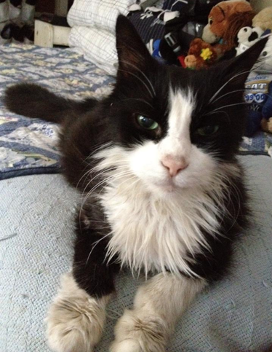 Mickey
