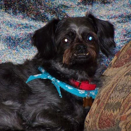 Coco