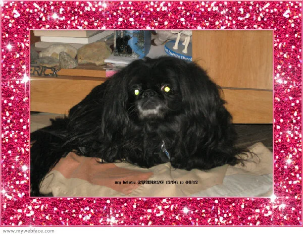 Sparkle Princess of Faith
